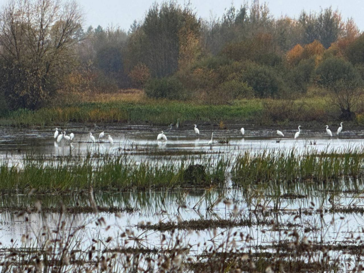 Озеро Бездонка. Фото: Ольга Ватина