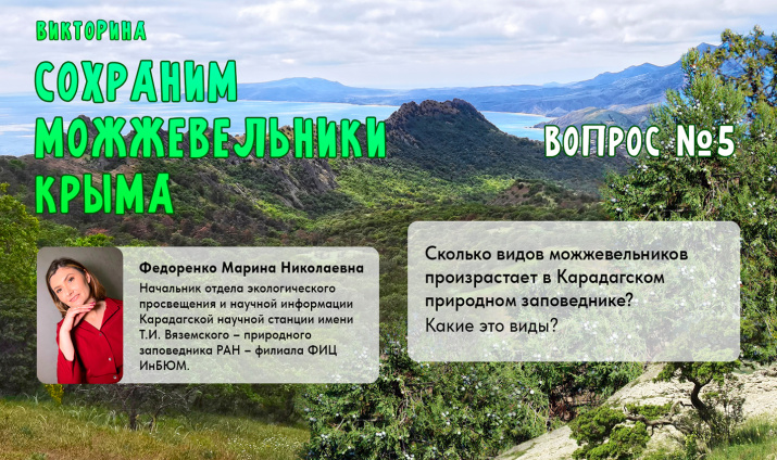 Викторина