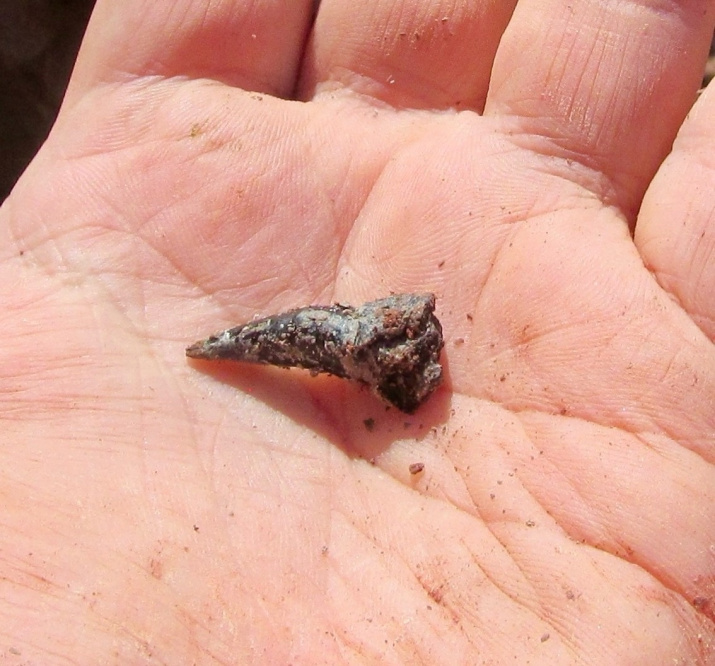 Фото: Юлия Сучкова