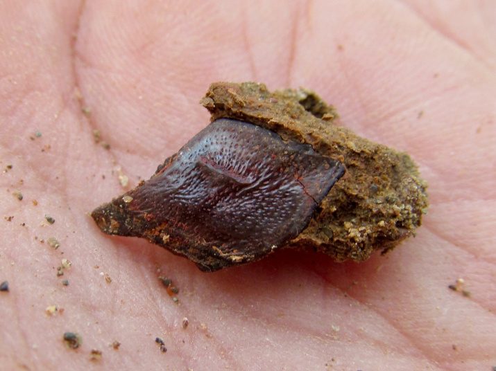 Фото: Юлия Сучкова