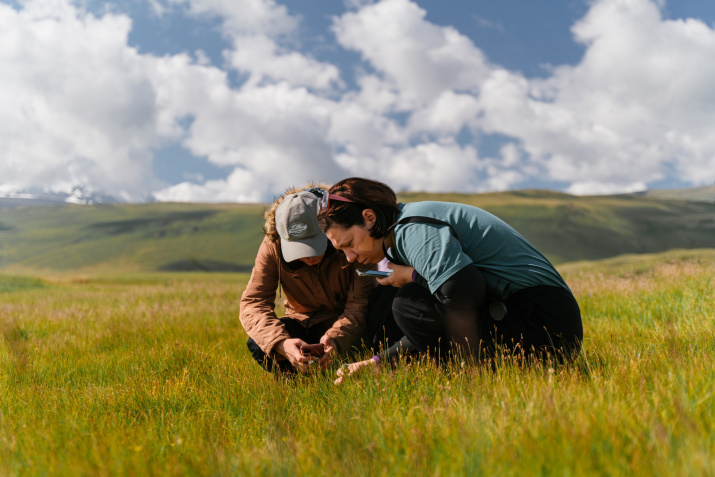 Сохраняй Алтай. Фото Екатерина Лучина