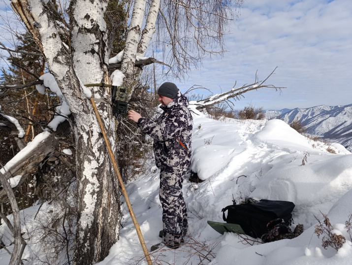 Работа с фотоловушками. Фото: Андрея Сарапу