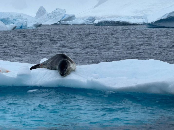 Животные не боятся человека. Фото из архива Марины Клочковой