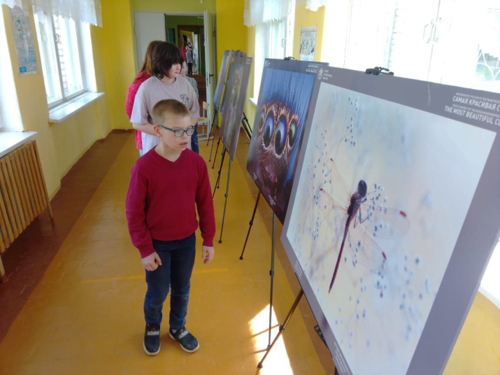 Выставка РГО «Самая красивая страна» в селе Кончанско-Суворовское. Фото: Александра Васильева