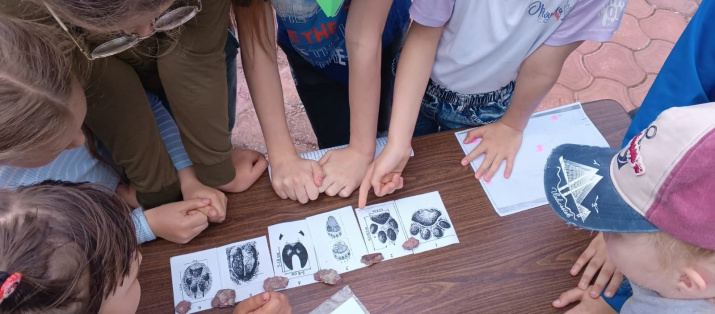 Юные знатоки следов. Фото: Анна Зубарева