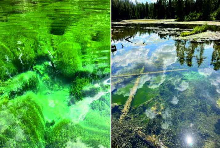 Прозрачная вода озера. Фото предоставлено КОО РГО