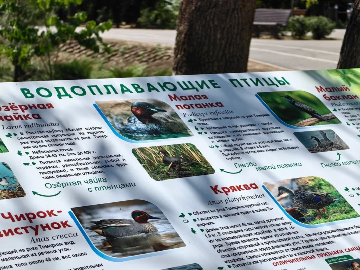 Информационные стенды в зоопарке. Фото: пресс-служба Ростовского зоопарка