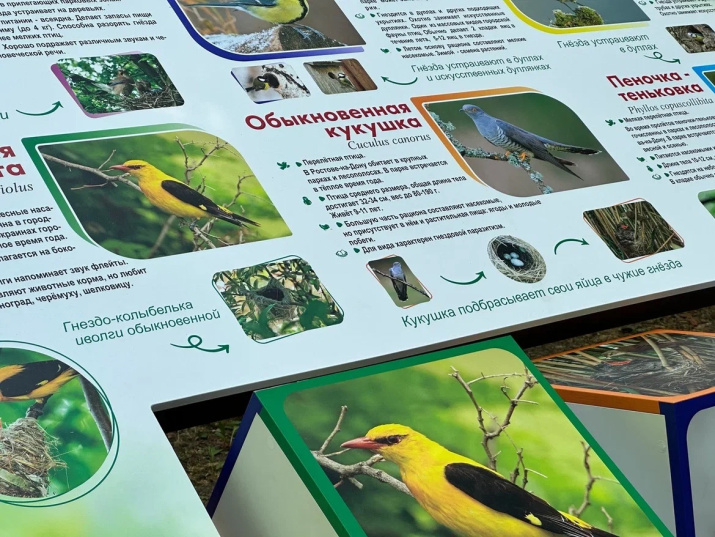 Информационные стенды в зоопарке. Фото: пресс-служба Ростовского зоопарка