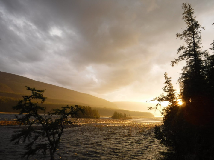 Заповедник «Путоранский». Фото: ФГБУ «Заповедники Таймыра»