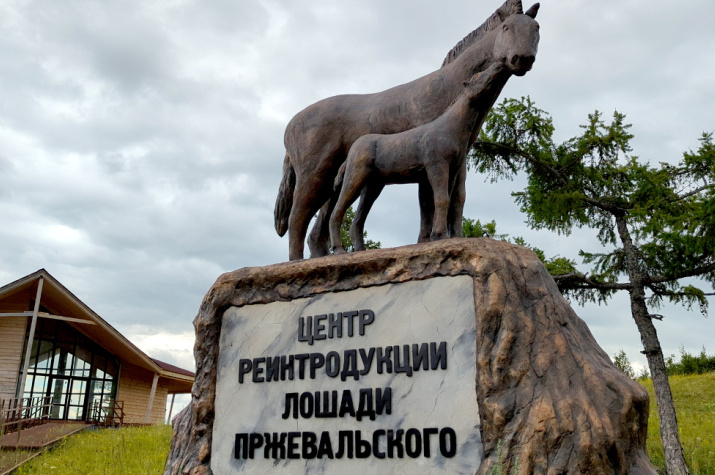 Центр реинтродукции лошади Пржевальского в Хакасии