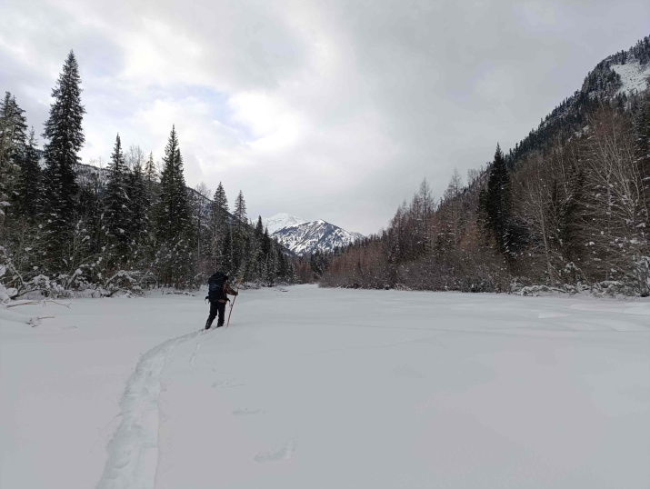Проведение экспедиций и научных исследований