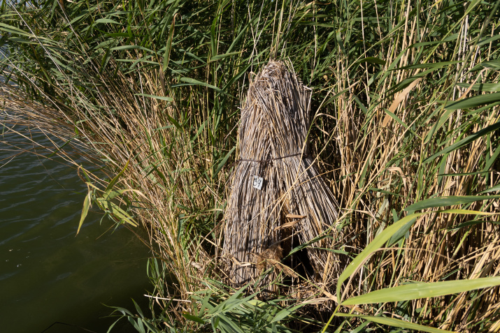 Искусственные гнездовья.Фото: Елена Чумак