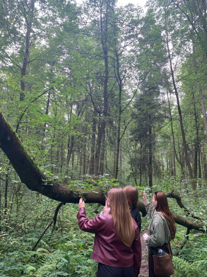 Студенты изучают растительность на территории Сахаровского парка. Фото: Архив ФГиГ ТвГУ