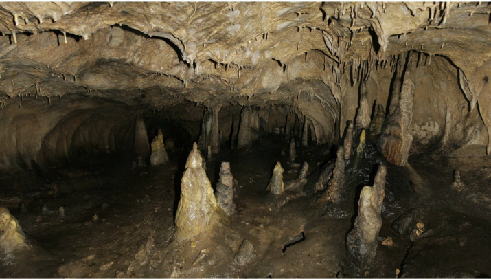 Автор: Тенгиз Мокаев