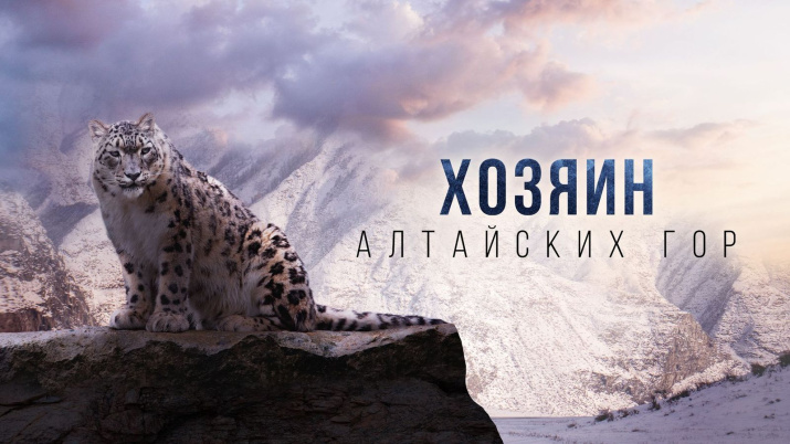 Превью фильма. Фото: открытые интернет источники