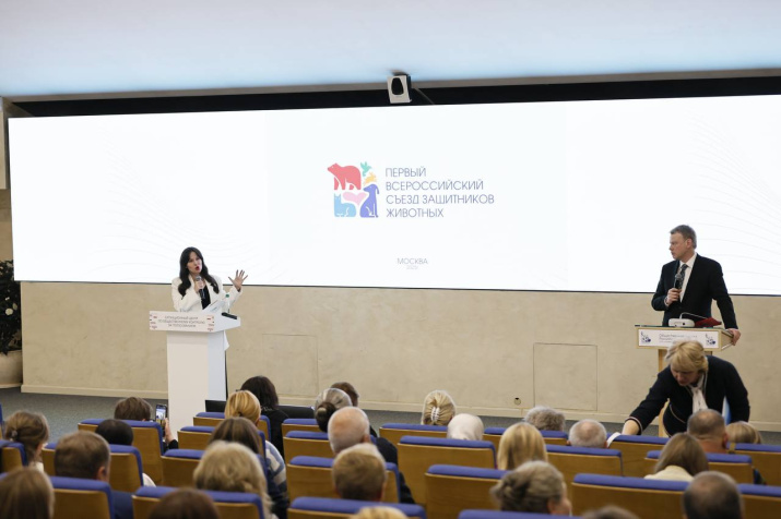 Пленарное заседание. Фото: пресс-служба Общественной палаты России Пленарное заседание. Фото: пресс-служба Общественной палаты России