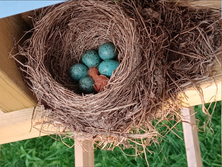 Бердвотчерская заметка. Фото: Любовь Соколова, член Владимирского областного отделения РГО