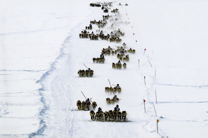 «Красота среди бегущих». Фото: Юлия Шамарина
