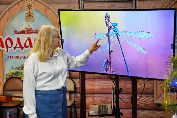 Фотоматериал Бориса Тишулина