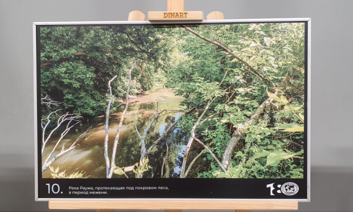 Экспозиция выставки. Фото: Иван Гусев