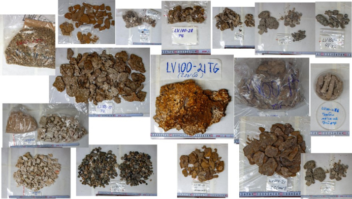 Фотографии примеров геологических образцов. Рейс 100 НИС «Академик М.А. Лаврентьев»