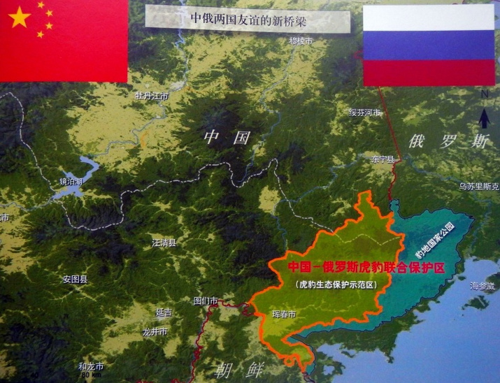 Российские и китайские особо охраняемые природные территории на Амуре