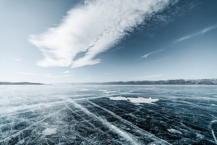 фото Анастасии Нелень