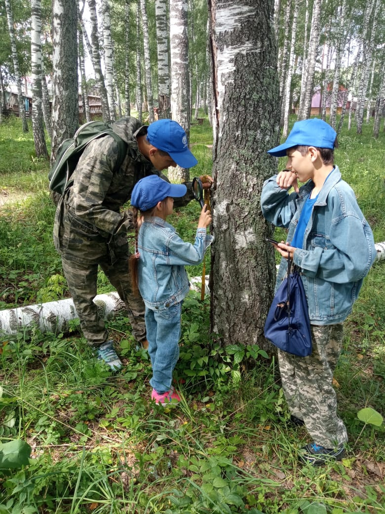 В рамках проекта “Лесная карта” запущена инвентаризация лесного массива в  селе Троицкое | Русское географическое общество
