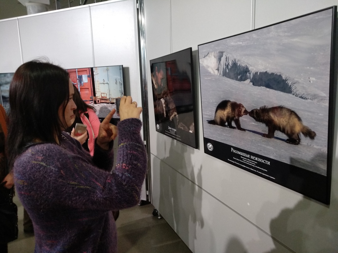 На фотовыставке представлены российских и зарубежных. Выставка самая красивая Страна. На выставке фотографии российских и зарубежных фотографов. Выставка самое главное животное. На выставке представлены фотографии российских и зарубежных