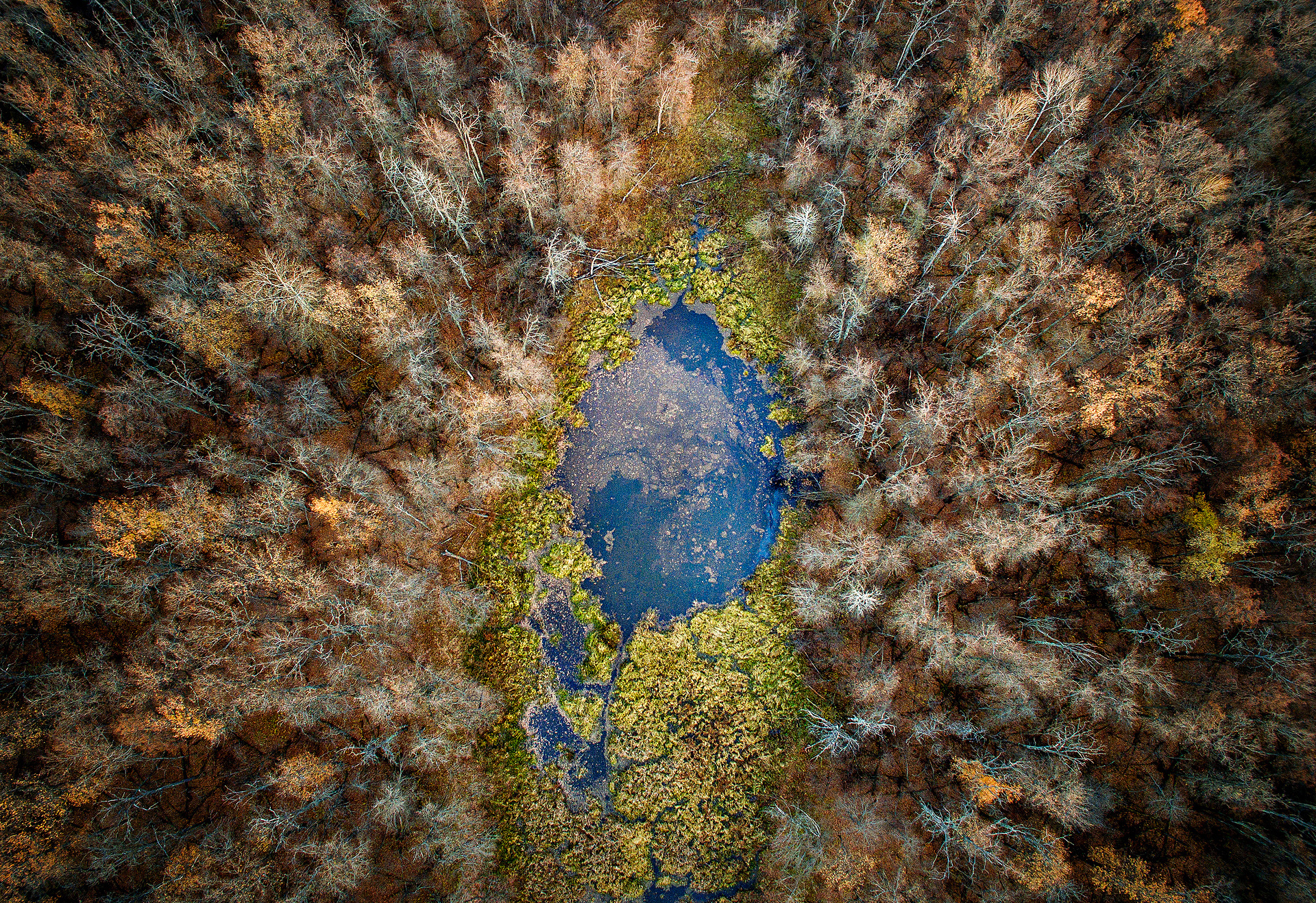 Фотографии Русского Географического Общества