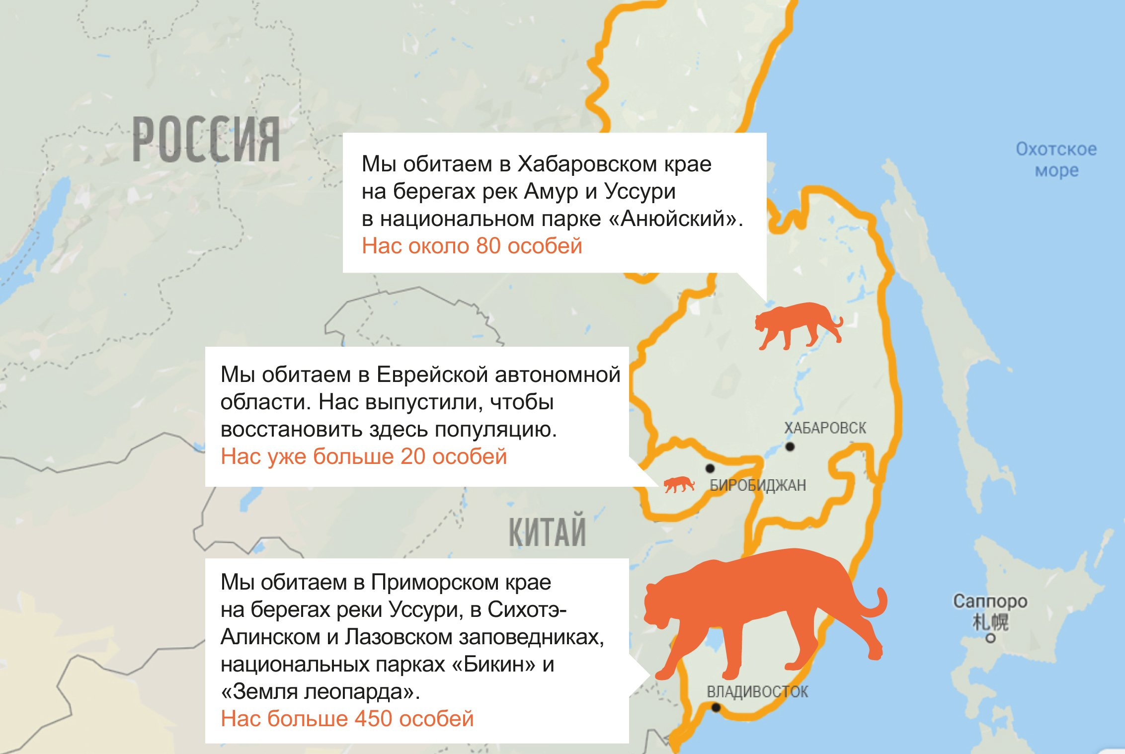 Карта амурский тигр