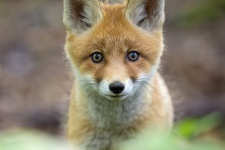 Фото Сергея Клочева – победителя конкурса «Самая Красивая Страна – 2015» Русского географического общества