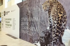 Фото: leopard-land.ru