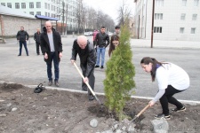 Акция &#039;&#039;Дерево Победы&#039;&#039;