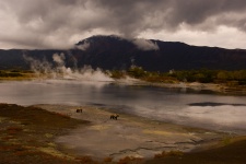 Фото: Сергей Горшков Фото: Сергей Горшков