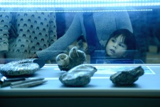 Удивительный артефакт. Фото: Николай Разуваев Удивительный артефакт. Фото: Николай Разуваев