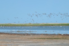 Фото: Гаджибек Джамирзоев, Елена Ильина, Марьям Магомедова, Эльдар Эльдаров Фото: Гаджибек Джамирзоев, Елена Ильина, Марьям Магомедова, Эльдар Эльдаров