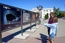 Первые посетители 2 части экспозиции "Самая красивая страна". Фото: Юрий Югансон/Севастопольское городское отделение РГО