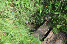 Фото предоставлено АКО ВОО РГО Фото предоставлено АКО ВОО РГО