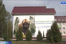 Мурал в Брянске. Фото: телеканал «Россия 24»