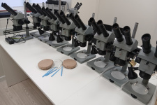 Закупленные микроскопы. Фото: Оренбургское реготделение РГО 