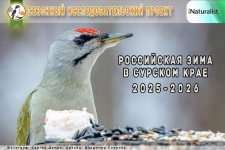 фото Сергея Демина