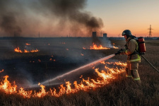 Фото сгенерировано искусственным интеллектом