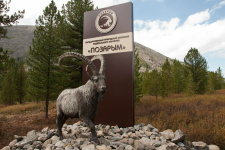 заказник «Позарым имени В.М. Зимина»