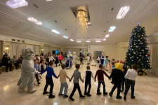 Заповедная ёлка