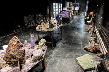 Фото предоставлено АКО ВОО РГО Фото предоставлено АКО РГО