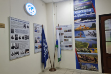 Общий план. Фото: Елена Елисеева