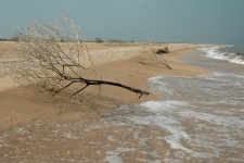 Побережье Арабатской стрелки. Фото: Вадим Кухтин