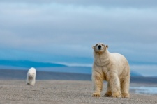 Photo by Sergey Gorshkov