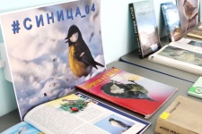 экологическая викторина. Фото С. Белекова